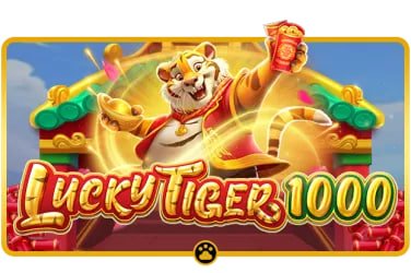 144bet